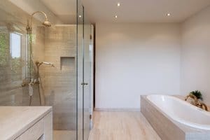 modern bathroom with frameless hinged shower door and panel shower